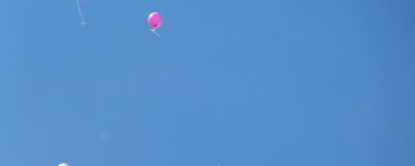 P1080629