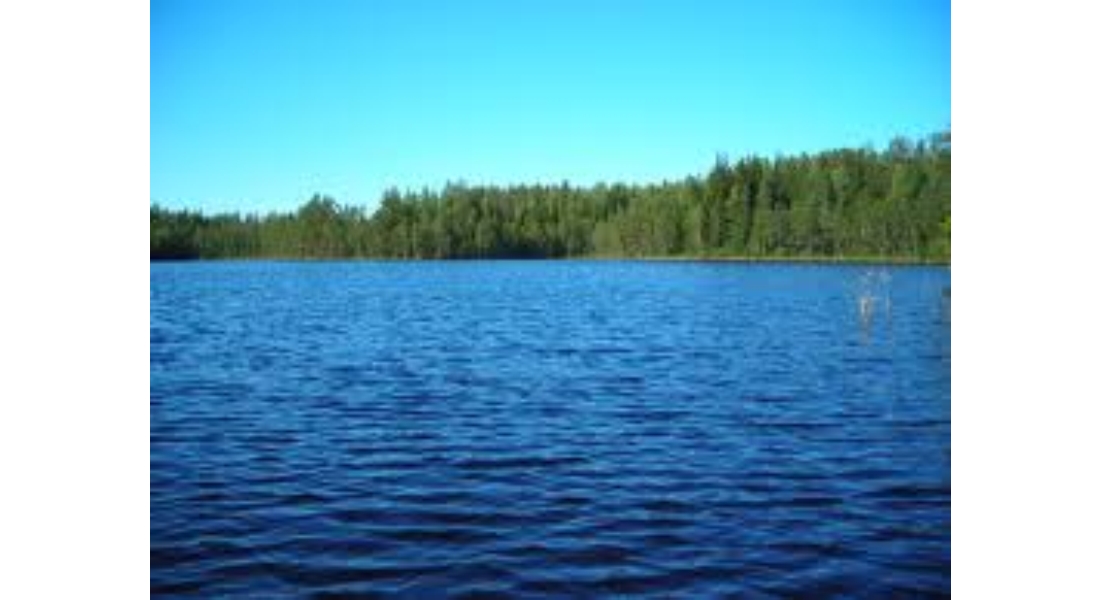 lago